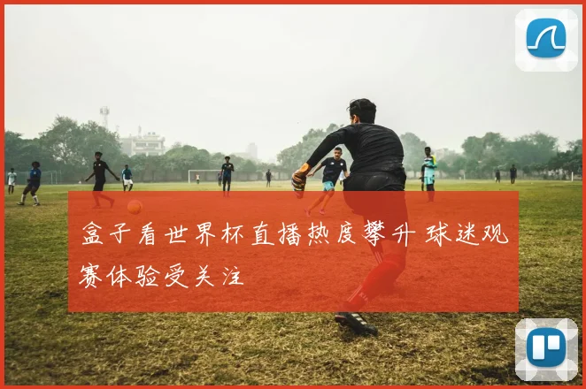 盒子看世界杯直播热度攀升 球迷观赛体验受关注